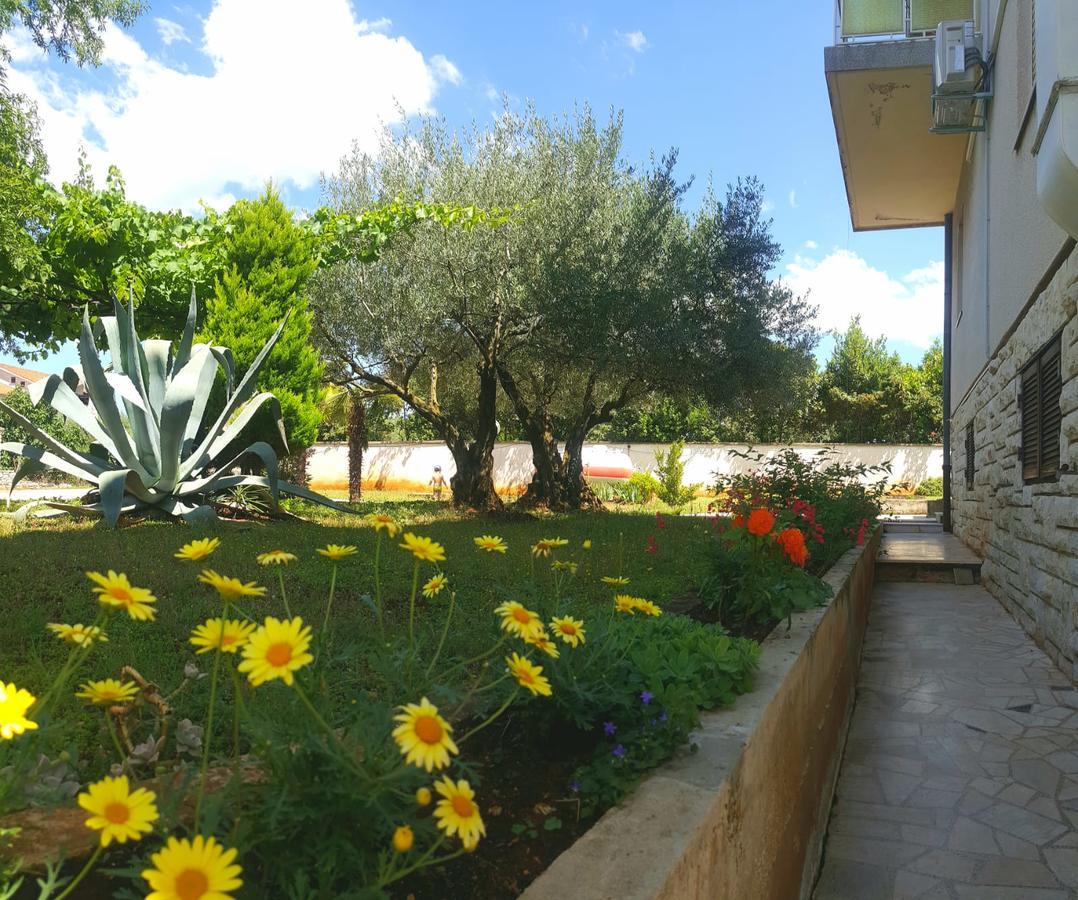 Bed & Breakfast Pansion Margerita