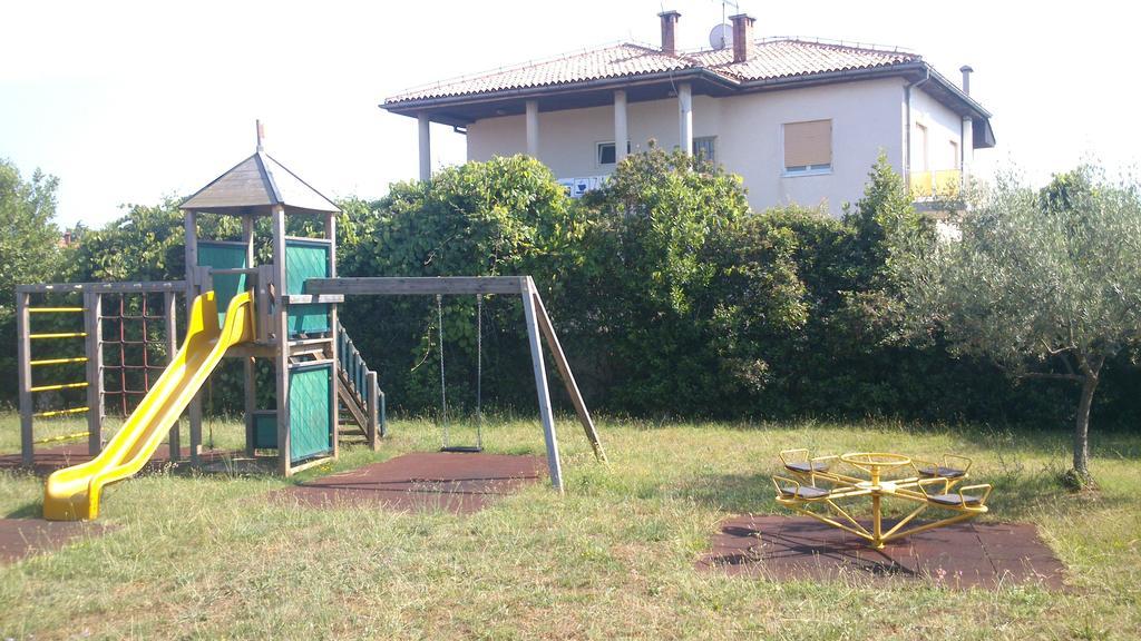 Pansion Margerita