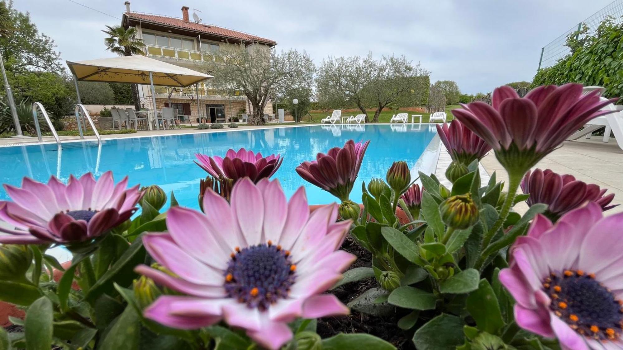 Frühstückspension Pansion Margerita Poreč